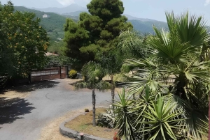 Zafferana Etnea: Honningekstraksjonsverksted og honningsmaking