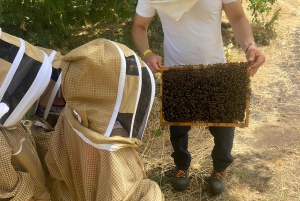 Zafferana Etnea: Honningekstraksjonsverksted og honningsmaking