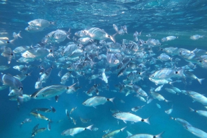 Zingaro Nature Reserve: snorkeling and diving in crystal clear waters