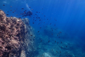 Zingaro Nature Reserve: snorkeling and diving in crystal clear waters