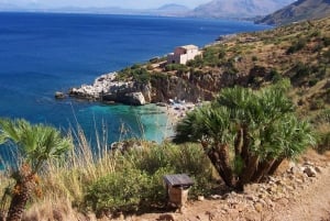 REZERWAT ZINGARO I SCOPELLO: WYCIECZKA ŁODZIĄ I NURKOWANIE Z RURKĄ