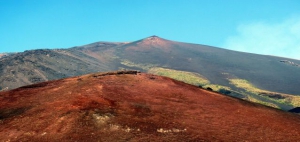 photo by Dr. Boris Behncke