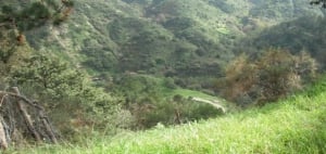 Santa Lucia del Mela by H. Lange