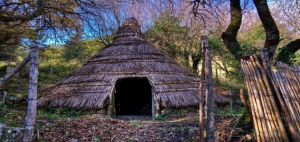 Bosco Ficuzza, Sicily