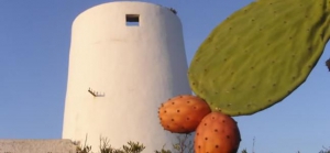 Pantelleria and Ustica