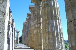 Segesta by Michael Techel