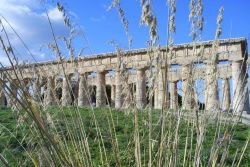 Segesta by Michael Techel