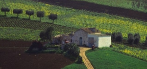 Sicily By Car - a real challenge