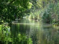 Ciane River, Syracuse