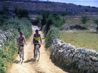 bike tour by ciclofree