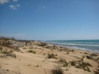 dunes by Iris Marischi