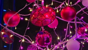 A Fine Dining Restaurant in Singapore