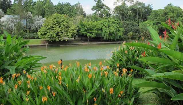 Singapore Botanic Garden, lake view