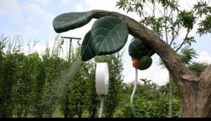 Jacob Ballas Children?s Garden at the Singapore Botanic Gardens