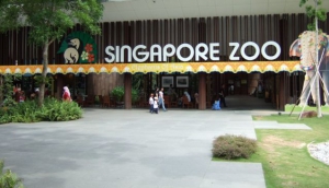 Singapore Zoo