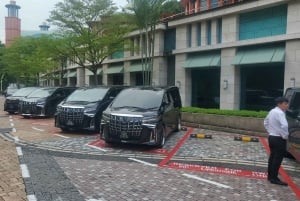 [3 hours City Tour] Changi Airport (SIN) Premium Limousine