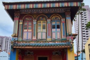 4-часовая пешеходная экскурсия по Чайнатауну, Литл Индии и Арабской улице