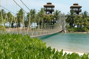 5-Hour Insider Tour: Hidden Gems, Flavors & Heritage