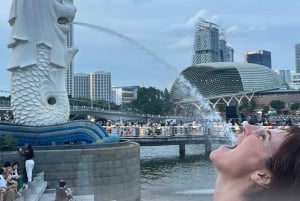 8-timmars kombituren 'Ät på dagen, se på natten'