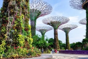 Best of Singapore: Private Walking Tour with a Local