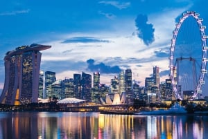 Best of Singapore: Private Walking Tour with a Local