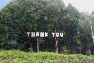 ビンタン島のレンタカー