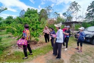 Bintan Stingless Honey & Coffe Plant Tour