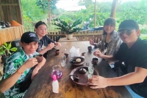 Bintan Stingless Honey & Coffe Plant Tour