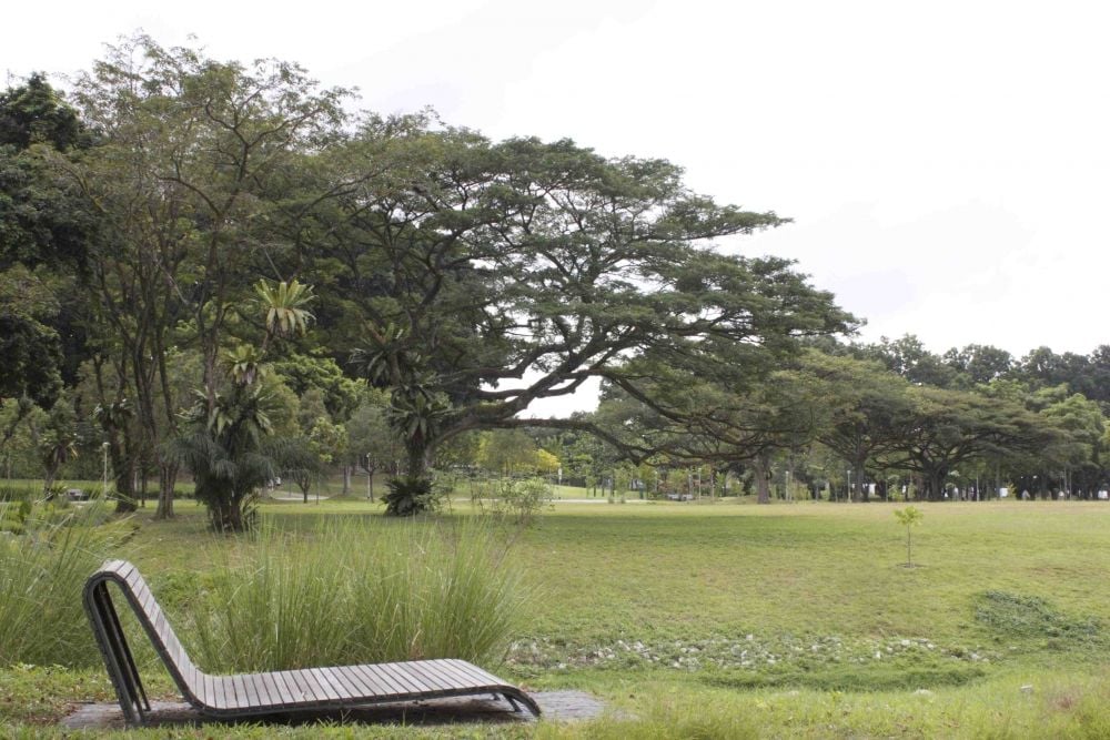 Bishan Park