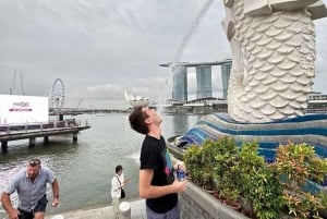 Chinatown Food Tour, River Cruise & 2 top-visit Light Shows