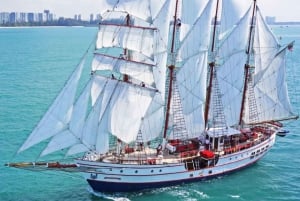 Singapore: Julmiddagskryssning på Royal Albatross