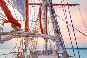 Singapore: Julmiddagskryssning på Royal Albatross
