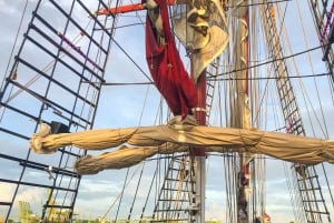 Singapore: Julmiddagskryssning på Royal Albatross