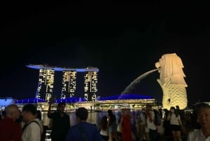 Drive & Dine: Mercedes privat tur med en smak av Singapore
