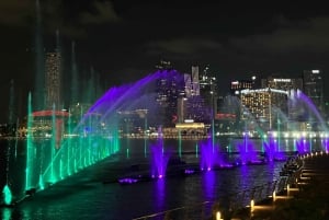 Drive & Dine: Mercedes privat tur med en smak av Singapore
