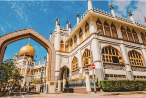 Drive & Dine:Mercedes Private Tour with a Taste of Singapore