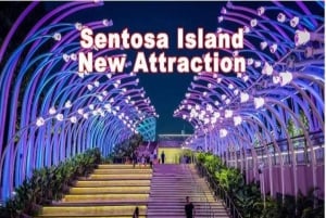 Abendausflug: Kreuzfahrt, Sentosa Sensoryscape & Wings of Time