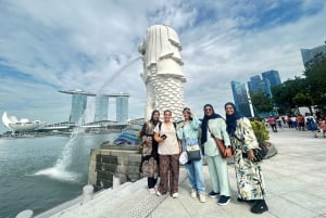 Abendausflug: Kreuzfahrt, Sentosa Sensoryscape & Wings of Time
