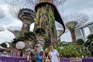 Exklusiv privat rundvandring: Utforska Singapore på ditt sätt