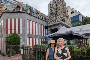 Exklusiv privat rundvandring: Utforska Singapore på ditt sätt