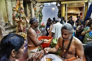 Exklusiv privat rundvandring: Utforska Singapore på ditt sätt