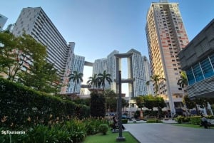 Ervaar Singapore alsof je hier echt woont – 4 uur