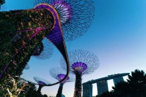 Fabuloso tour privado nocturno en Singapur.