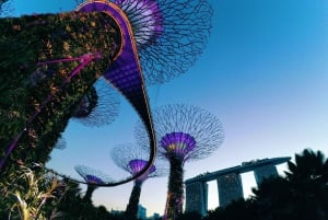 Fabuleuse visite privée nocturne à Singapour
