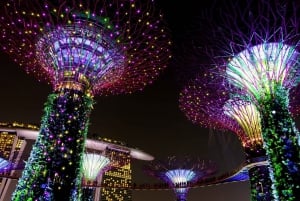 From Harbourfront Port: Private Customizable Singapore Tour