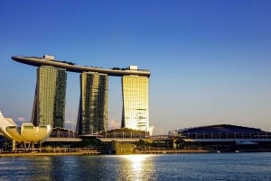 From Harbourfront Port: Private Customizable Singapore Tour