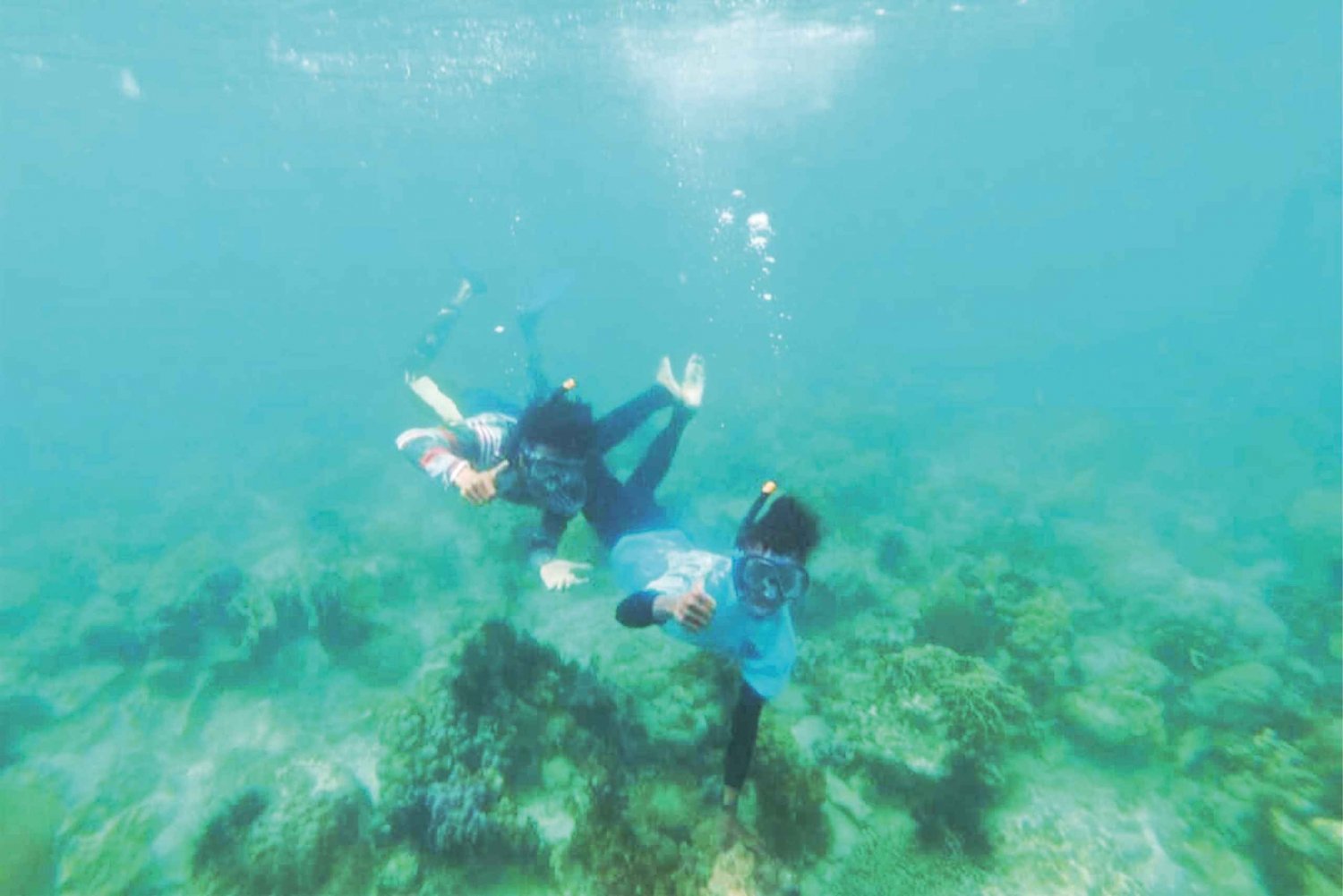 From Singapore: Private Snorkeling Day Tour to Batam Islands