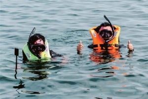 From Singapore: Private Snorkeling Day Tour to Batam Islands