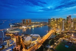 Full day Singapore City Tour with Flyer,GBB and Skypark