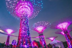 Dagsutflykt Singapore Stadsvandring med Flyer,GBB och Skypark